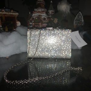 David’s Bridal Elegant Clutch